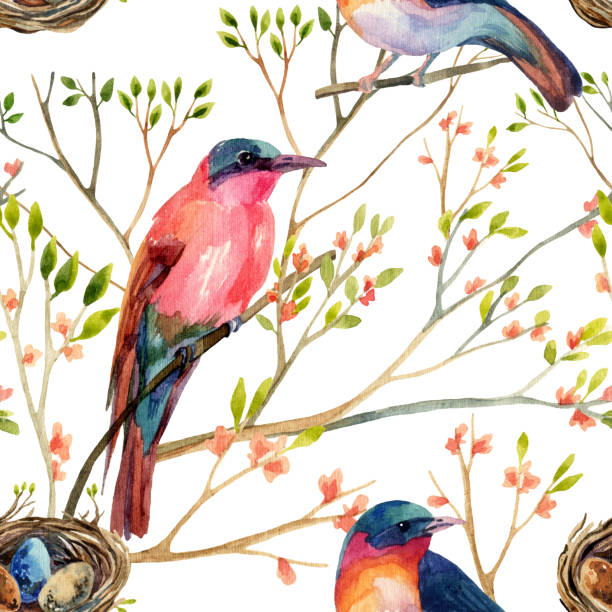 워터컬러 새 있는 blossoming 나무 - bee eater colorful bird beautiful bird animal stock illustrations