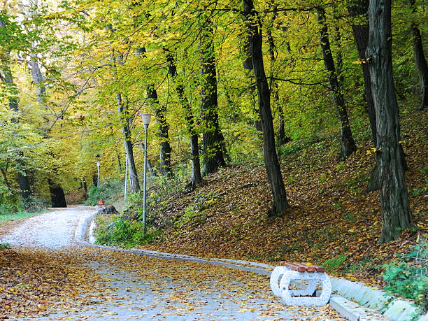 istock Benches in autumn park with beautiful pathway. 496709502