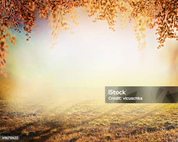 Autumn Amazing Blurred Nature Background With Lawn And Colorful Foliage Stock Photo - Download Image Now