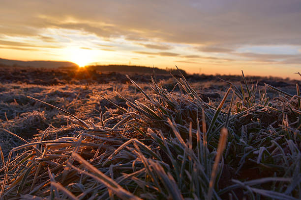 istock Sunrise over frozen meadow 496711536