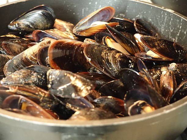 istock mussels in the pan 496711546