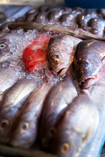 istock Lapu-lapu, red snapper and tuna, seafood on market 496720359