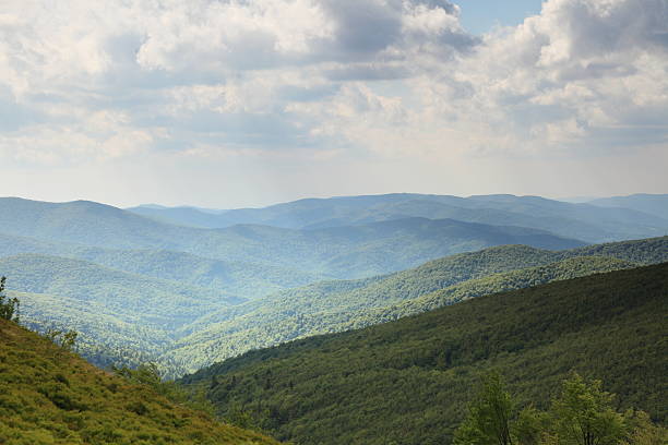 istock Nature. Green mountain landscape in the summer 496725893