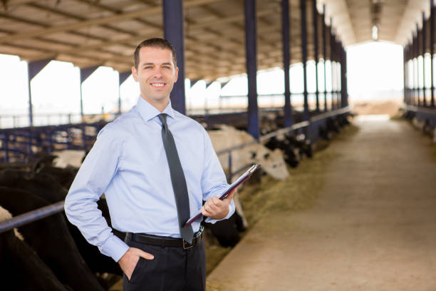 istock Businessman in Cow Farm 496728120