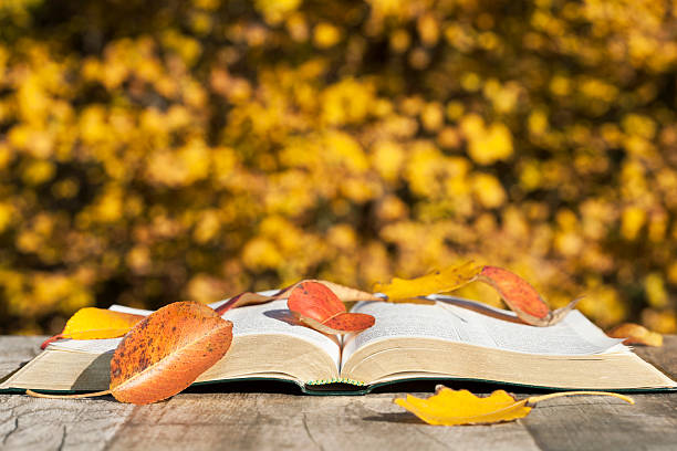 istock Opened book and autumn leaves 496728790