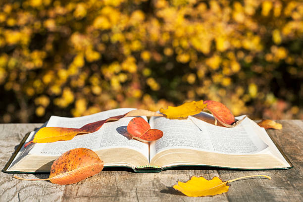 istock Opened book and autumn leaves 496728896