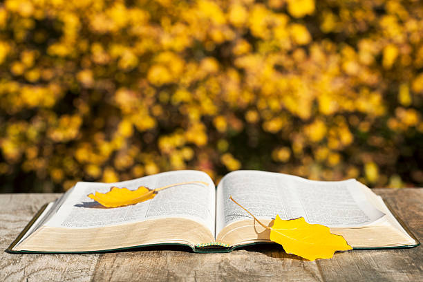 istock Opened book and autumn leaves 496729074