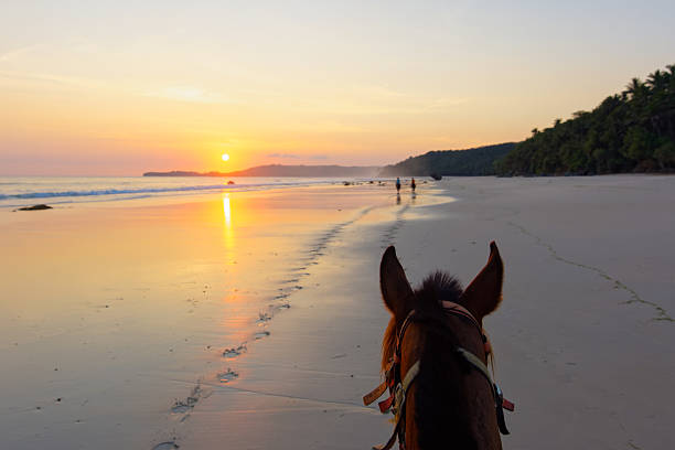 Abstract blurred defocused silhouettes of couple man and lady resting on beach with horse in backlight. Multicolored vibrant outdoors horizontal summertime image. Wavy sea or ocean background