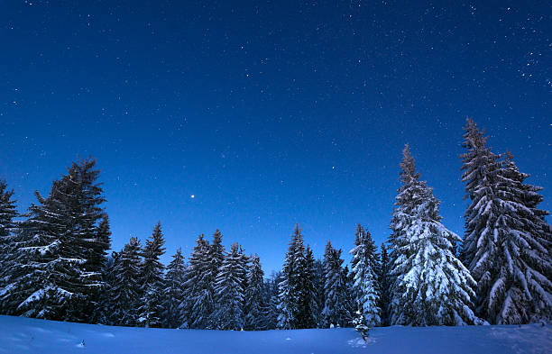 Night in the snowy mountains Snowy view in Carpathian Mountains, winter landscapes series.  polar climate photos stock pictures, royalty-free photos & images