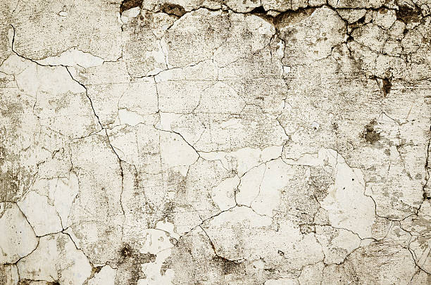 istock Old color gray wall painted background 496733316