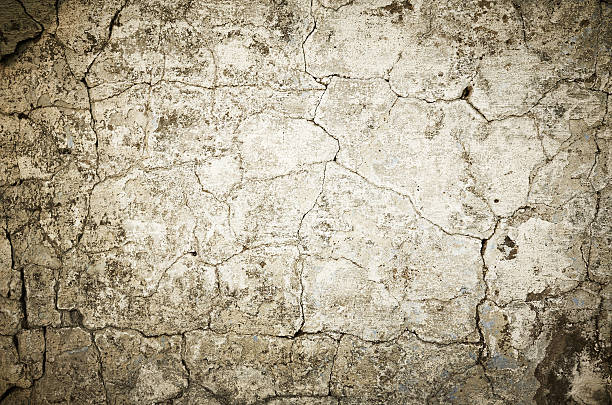 istock Old color gray wall painted background 496733750
