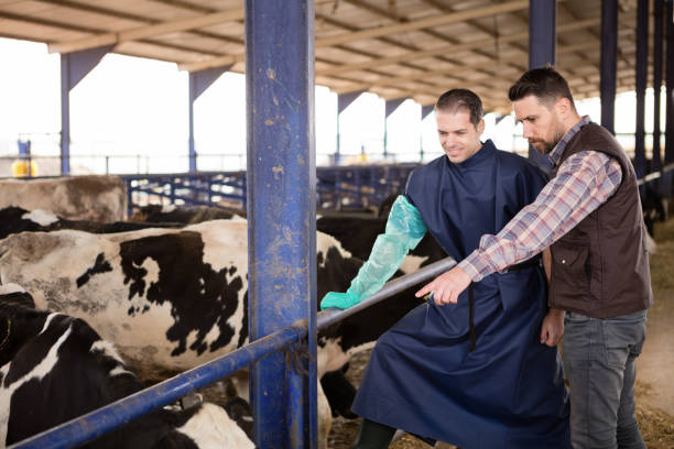 agricultor e vet - arbeit imagens e fotografias de stock