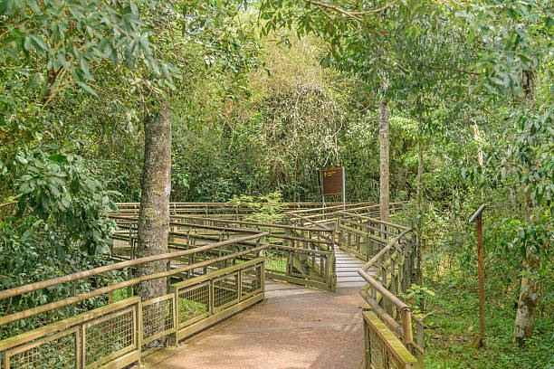 istock Bridge at Iguazu Park Argentinian Border 496734986