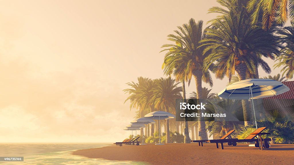 Palms, deckchairs y sombrillas en una playa tropical - Foto de stock de Maldivas libre de derechos