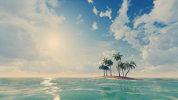istock Tropical islet with a few palms among ocean 496735270