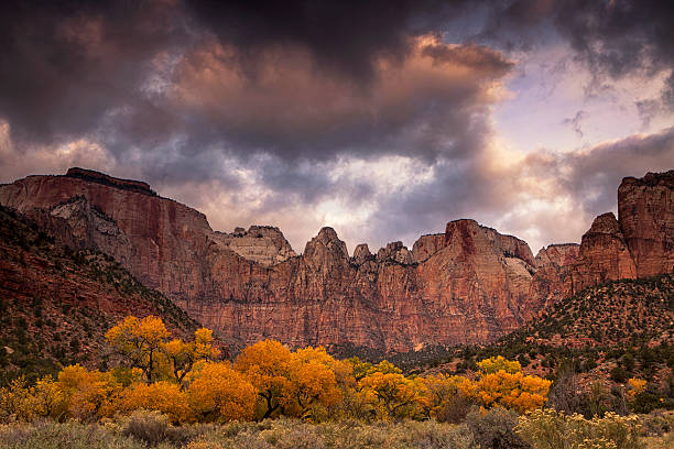 istock Cottonwoods Of Zion 496737556
