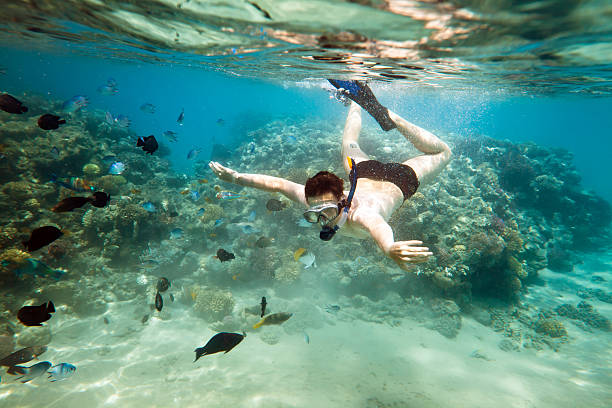 istock Snorkeler. Red sea 496737942