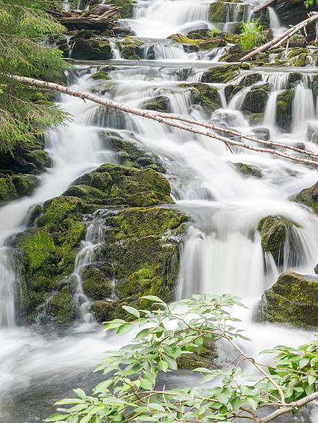 istock Waterfall Myantyukoski, three steps stone cascade in Park. Close up 496738856