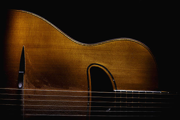 istock Gypsy Acoustic Guitar 496740610