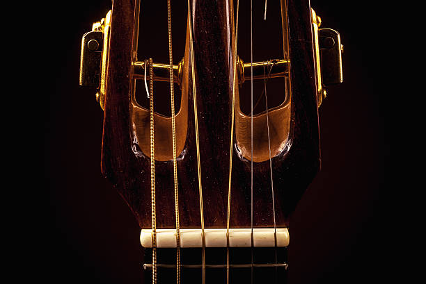 istock Acoustic Guitar Tuners 496740804