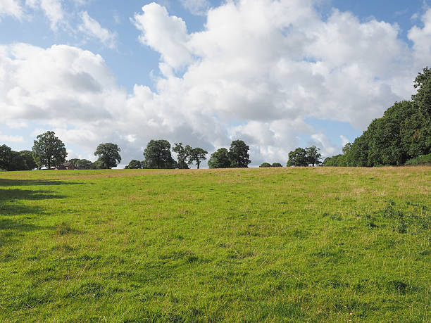 istock View of Tanworth in Arden 496764184