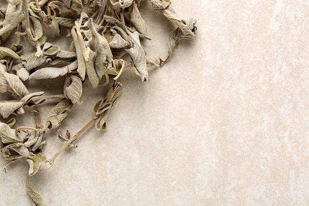 Dried Sage Dried Sage on marble background. seramic stock pictures, royalty-free photos & images