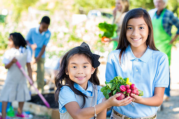 elementare ragazze touring giardino in campo fattoria di viaggio - school farm foto e immagini stock