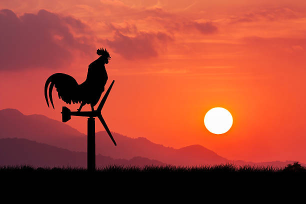 istock Roosters crow stand on a wind turbine 496767952