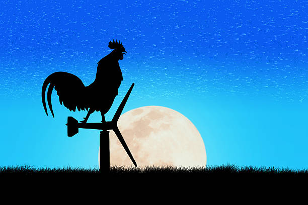 istock Roosters crow stand on a wind turbine 496768786