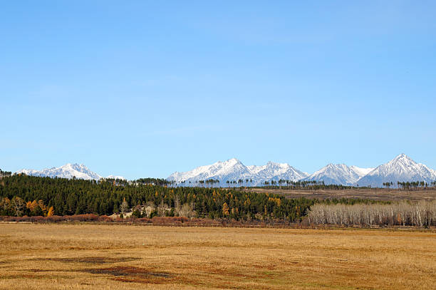 istock blue sky over the vast steppes,, mountains covered with snow, 496770510