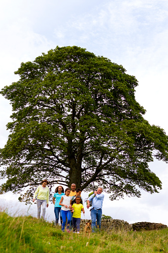 An image of a three generation family walking with their dog past Sycamore gap in the countryside. The ancient tree is surrounded by Hadrian's wall in Northumberland, England.