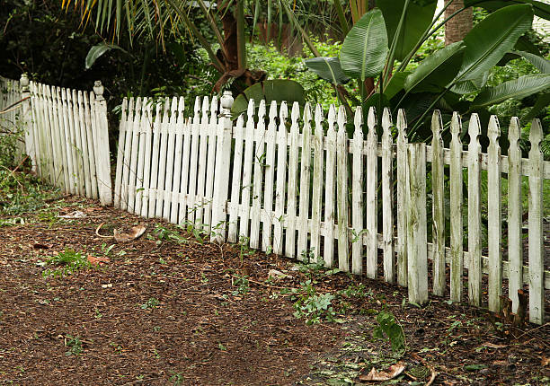 old picket fence in need of repair and painting - skräpig trädgård bildbanksfoton och bilder
