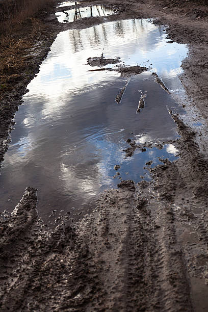 istock Mud and puddles on the dirt road 496773770