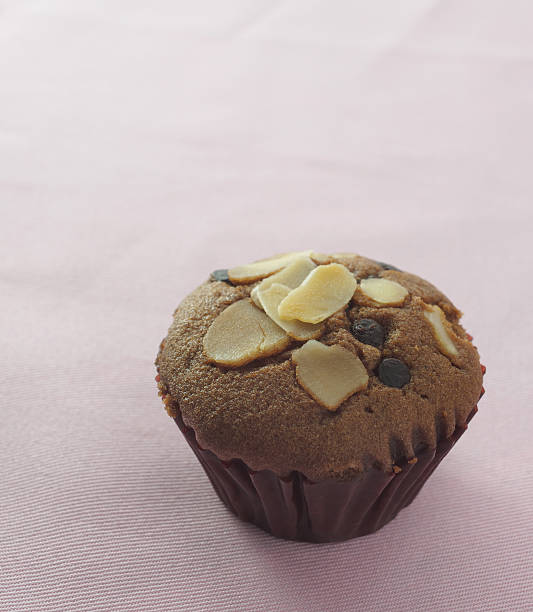 Chocolate cupcake stock photo