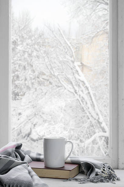 Cozy winter still life Cozy winter still life: mug of hot tea and book with warm plaid on windowsill against snow landscape from outside. winter still life stock pictures, royalty-free photos & images