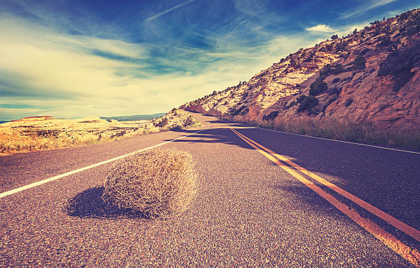 Vintage toned tumbleweed on empty road, travel concept picture.