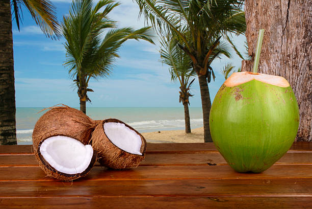 istock Green and Brown Coconuts at the beach - Bahia, Brazil 496776822