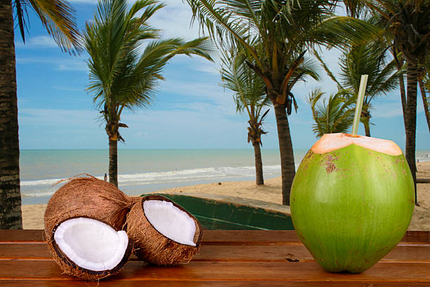 istock Green and Brown Coconuts at the beach - Bahia, Brazil 496776884