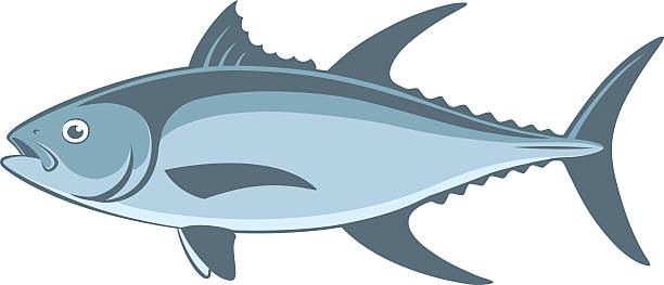 illustrations, cliparts, dessins animés et icônes de thon - tuna spearfishing sea bream illustrated