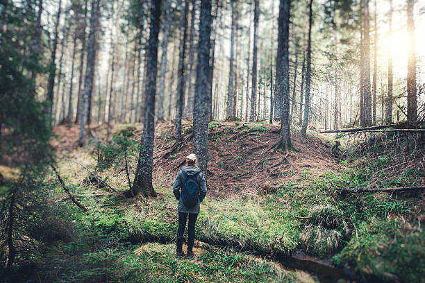 Woman With Backpack Hiking In The Forest