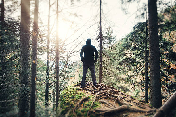 Man Hiking In The Forest
