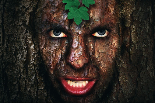 Saving the forest. Angry human face with tree texture.