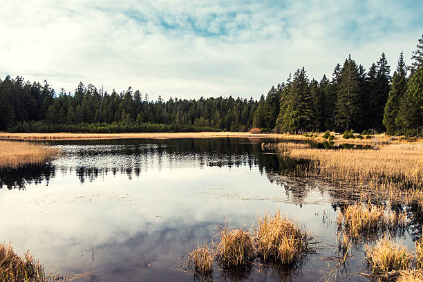 istock Autumn By The Lake 496791682