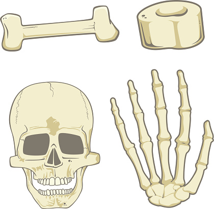 Cartoon Skeleton Hand Clipart Images | High-res Premium Images