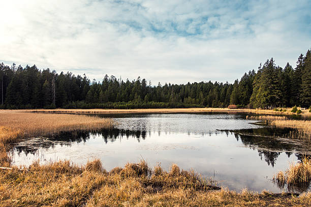 istock Autumn By The Lake 496792106