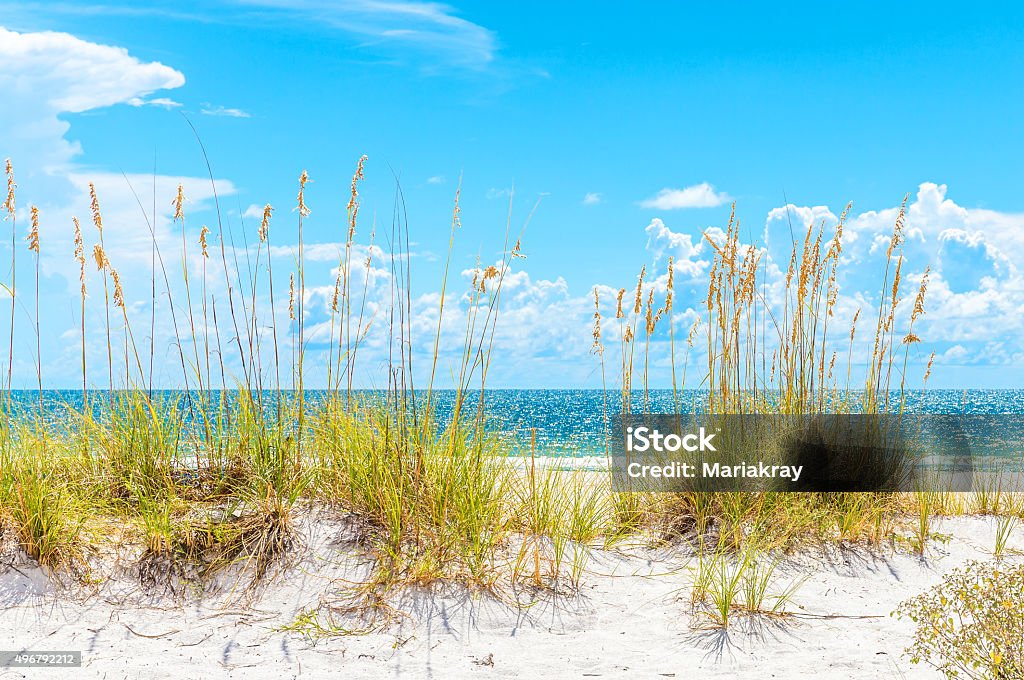 sunny beach with sand dunes and blue sky sunny St. Pete beach with sand dunes and blue sky in Florida Florida - US State Stock Photo