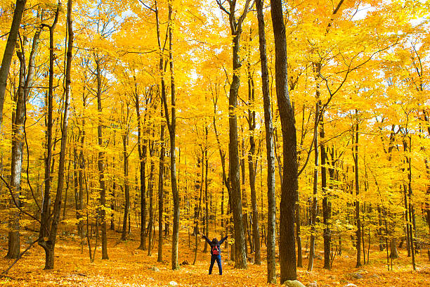 Woman hiking on trail in Autumn with arms outstretched and taking in the beauty.