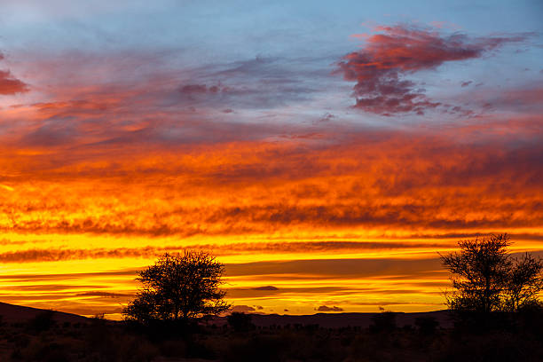 istock Sunset in the Sahara desert 496793700