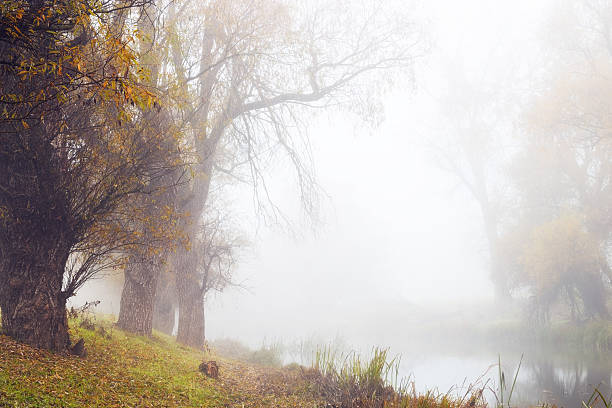 istock River Zagyva in Hungary engulfed in fog 496794584