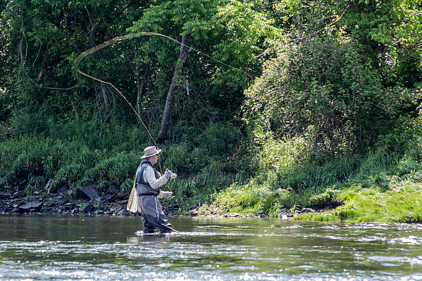istock Trout Fishing 496794675